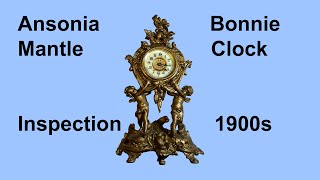 Ansonia Mantle Clock Inspection for Teddy from Florida 100 [upl. by Oicnedurp]