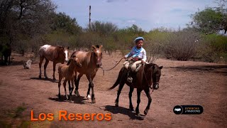 275 Agrupación Gaucha Los Reseros San Luis  Estancias y Tradiciones [upl. by Herbert977]