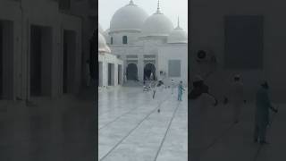 Hazri hazrat karmawala shorts hazratkarmanwala [upl. by Naillimxam157]