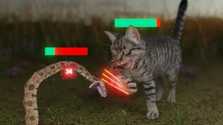 How Cats Broke The Game [upl. by Aitekram]