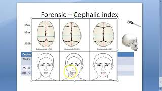 Forensic 040 a Cephalic Index Dolichocephalic MesatiCephalic Indians Brachycephalic [upl. by Ellerrehc]