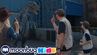 ¡El misterio de los huesos de dinosaurio  Videos de dinosaurios y juguetes para niños [upl. by Grimonia]