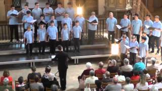 Singknaben der St Ursenkathedrale SolothurnSchweiz Jubilate Deo EJCF Basel 2016 [upl. by Burnsed860]