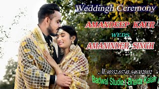 Live Amandeep Weds Amaninder Singh Wedding day by Badwal Studio Bharta kalan [upl. by Rechaba387]