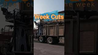 Best quotcutsquot of the week logging reality highlights [upl. by Kovacs]