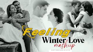 Feeling Of Love Mashup  Nonstop Winter Mashup  Chillout Emotional Song Mix Mashup [upl. by Nelyahs]