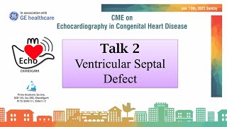 Talk 2  Ventricular Septal Defect Size and Place Matter [upl. by Belcher]