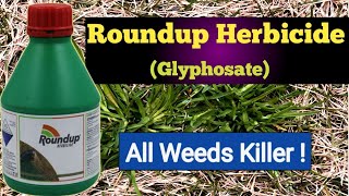 How to Kill Weeds  Roundup Herbicide Bayer  Glyphosate 41 SL [upl. by Pages]