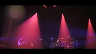 Selah Sue  This World Live  Zénith Lille [upl. by Yssim568]