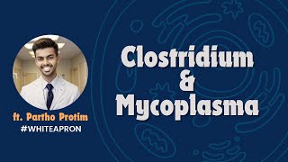 Clostridium amp Mycoplasma  Systemic Bacteriology Microbiology  White Apron [upl. by Spector]