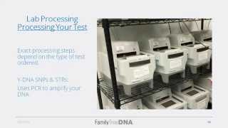 The Ideal Life of a Family Tree DNA Kit [upl. by Consuelo]