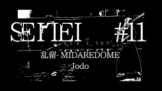 【制定型】乱留（杖道） SeiteiMidare domeJodo [upl. by Couture]