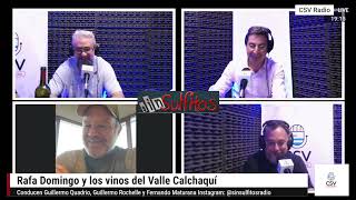 Sin Sulfitos Radio Temp 1 Ep 10 Rafa Domingo y los Vinos del Valle Calchaquí Salta 🍷🍷🍷 [upl. by Blakelee]