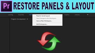 Restore Missing Panels and Adjust Layout  Adobe Premiere Pro Tutorial [upl. by Kristofer]