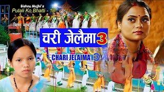 चरी जेलैमा 3 Bishnu Majhi New Nepali Teej Song 2024 CHARI JELAIMA 3 [upl. by Misti810]