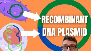 Recombinant DNA Technology Explained For Beginners [upl. by Lilian]