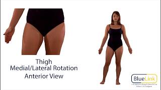 Thigh Medial Lateral Rotation [upl. by Rammus]