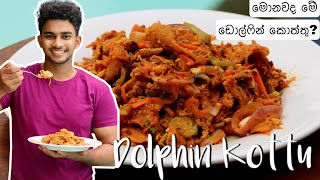 ඩොල්ෆින් කොත්තු  Tasty amp Easy Dolphin Kottu  Wild Cookbook  Charith N Silva [upl. by Minier]