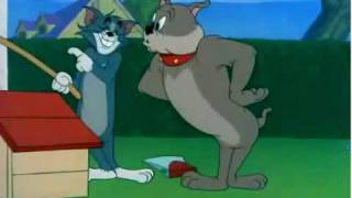 Tom and Jerry shortmp4 [upl. by Meakem776]