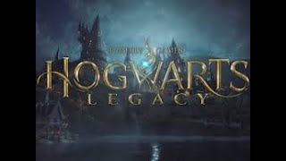 Hogwarts Legacy F024 Die Schmetterlinge zeigen den Weg [upl. by Joab]