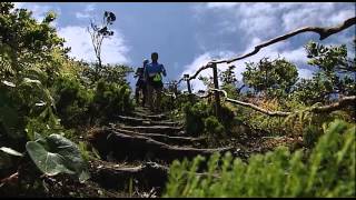 Azores Trail Run 2014  Reportagem RTP [upl. by Ulrika]