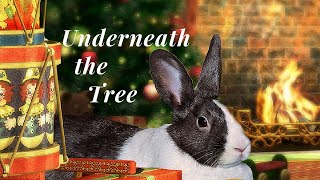 Underneath the Tree ∙ Suzannes Band Official Music Video [upl. by Norrek633]