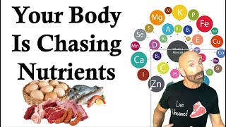 Is Your Body Craving Nutrients Protein Fatty Acids Vitamins amp Minerals Explained nutrition [upl. by Eigram407]