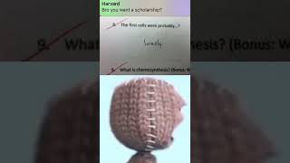 Harvard didn’t accept him he accepted Harvard funny weird meme sackboy [upl. by Danziger]