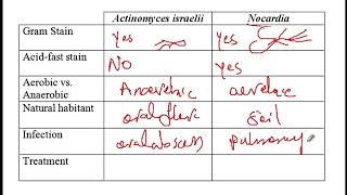 USMLE ACE Video 76 Actinomyces and Nocardia [upl. by Nirad]