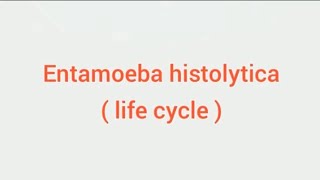 Entamoeba histolytica life cycle hindi Amoebic dysentry parasitic protozoan sciencespectrum07 [upl. by Yeldua]