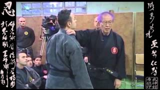 Taiden Shinden Okuden 体伝 心伝 奥 伝 Ninpo Taijutsu [upl. by Ikceb]