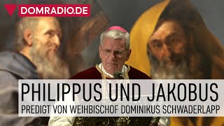 Philippus und Jakobus – Predigt von Weihbischof Dominikus Schwaderlapp im Kölner Dom [upl. by Ajssatsan]