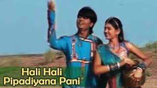 Hali Hali Pipadiyana Pani Bena Maro Piyu Gayo Pardesh  Superhit Gujarati Love Songs [upl. by Ellerd]