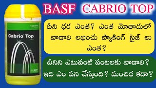 34 Best fungicide ౹ Bayer nativo full information in telugu by telugu raithu tips [upl. by Eamanna]