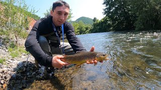 Quality over Quantity Tough Day on the Water Fly Fishing Update PA for Wild Brown Trout [upl. by Sochor459]