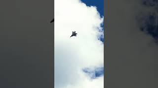 F22 over the Toronto skyline  Canadian Air Show 2024 [upl. by Carmela]