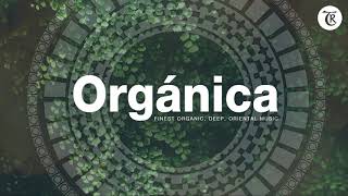 ORGANICA MIX l Finest Organic amp Ethno Deep House Music  Dj mix by Marga Sol [upl. by Rehc]