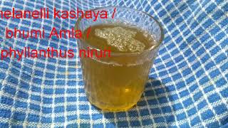 Healthy nelanelli kashaya  bhumi Amla kashaya phyllanthus niruri recipe [upl. by Yrrap381]