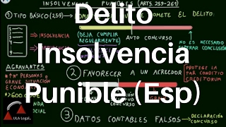 Delito de Insolvencia Punible Esp [upl. by Asiat]