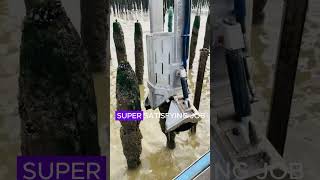 Effortless Mussel Harvesting [upl. by Mou]