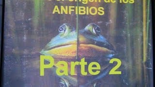 Sobre el origen de los ANFIBIOS Parte 26 [upl. by Feinberg]