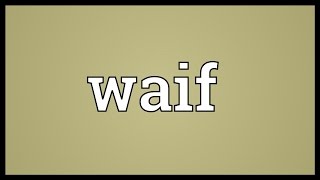 Waif Meaning [upl. by Debo]