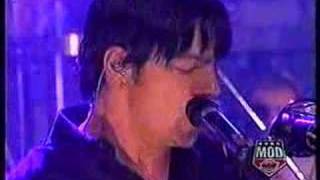 three days grace pain live [upl. by Steiner68]