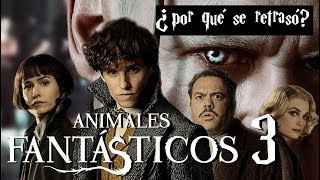 Primeras noticias de Animales Fantásticos 3 ¿por qué se retrasó la película [upl. by Anerul950]