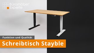 Funktionen Elektrisch Höhenverstellbarer Schreibtisch Stayble [upl. by Neeleuqcaj]