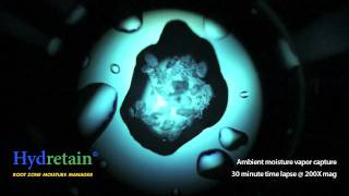 Hydretain® Crystal 200X Microscope footage [upl. by Schwab]