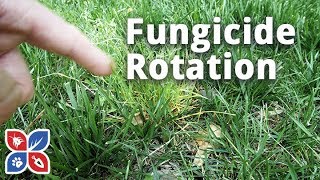 Lawn Fungicide Rotation Applications  Lawn Care Disease Control  DoMyOwncom [upl. by Innavoj614]