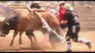 Rodeo Bullfighters save Bull Rider amp tribute to Donny Martin [upl. by Adnohsek321]