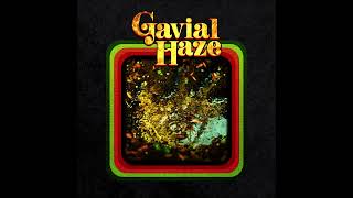 GAVIAL HAZE  GAVIAL HAZE full Album 2024 [upl. by Aeila]