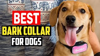 Top 5 Best Bark Collars for Dogs Review in 2024 [upl. by Aramit691]